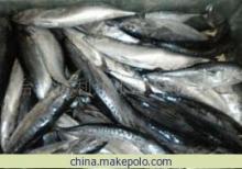 鰹魚(yú)冷凍粗加工產(chǎn)品 - 臺(tái)州億利達(dá)水產(chǎn)專(zhuān)業(yè)供應(yīng)