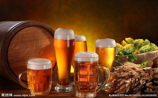 電子產品、化妝品、日用品進口香港代理與深圳物流清關運輸指南